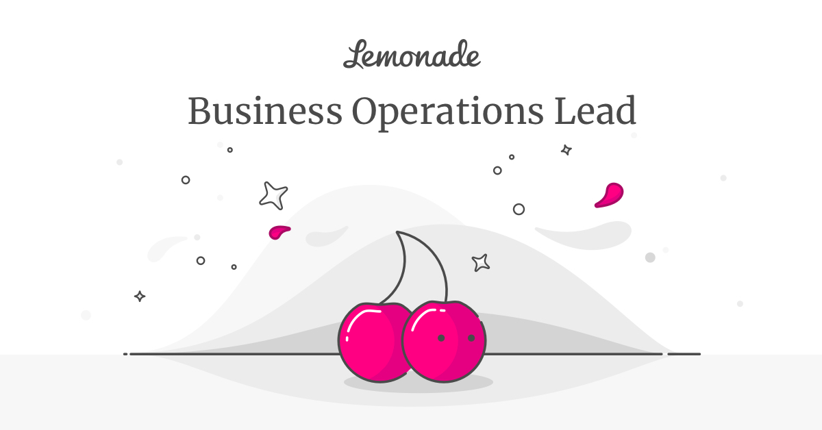 Business Operations Lead Lemonade Careers