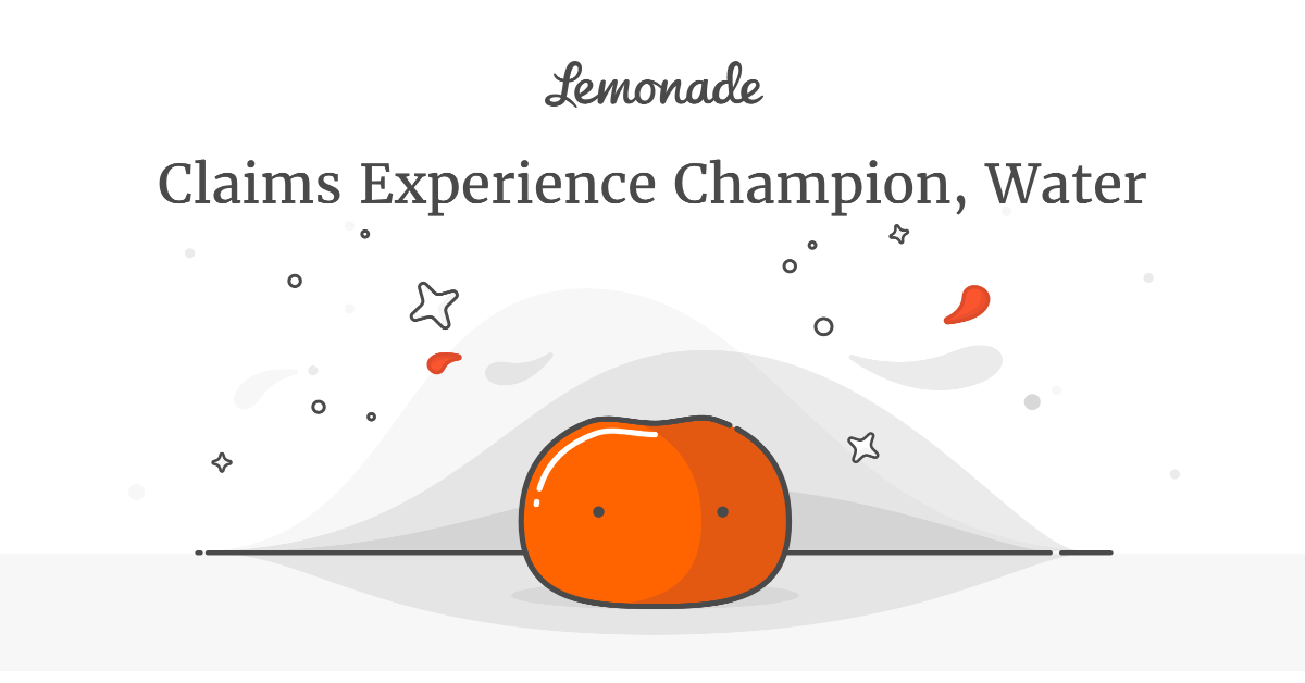Claims Experience Champion, Water Lemonade Careers